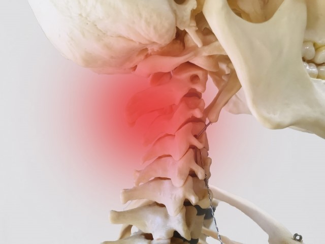 頸椎の図