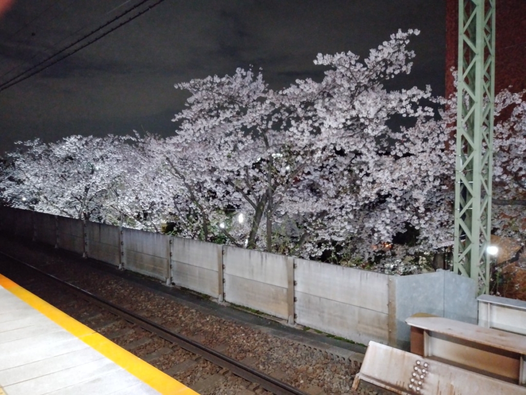 高井戸駅のホームから見える桜並木